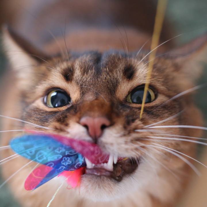 8fdb7701 a193 434c acd1 0f50d658ea1e 1669347414896