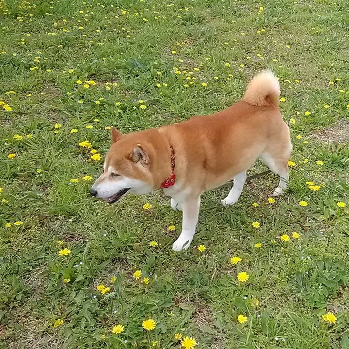 8fdba041 fcda 4679 8546 2adf776723c9 1681083146740