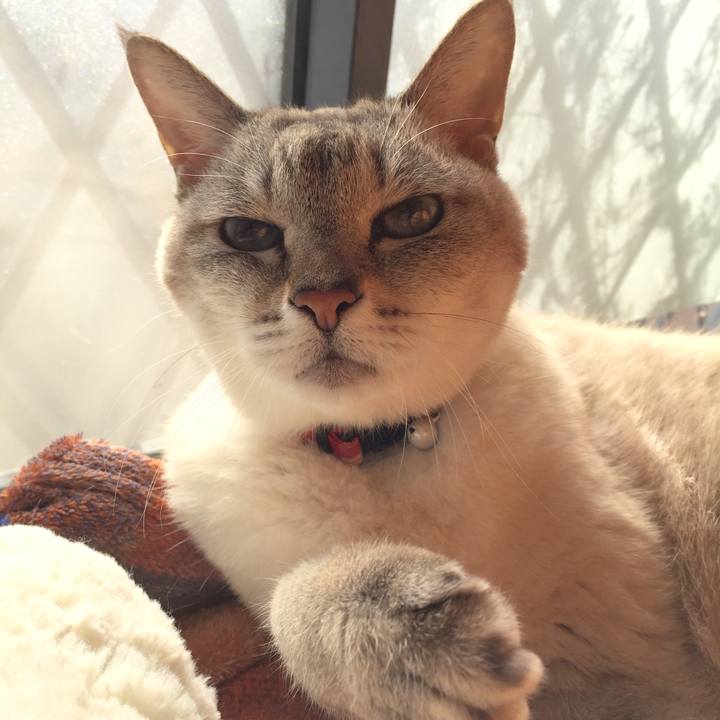 8fdbe66a fea0 47e6 8556 9474b15b6119 1544585437946