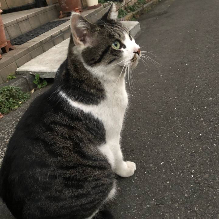 8fdbf51d 494f 44c0 8442 c9a1ab46c82d 1547889885517