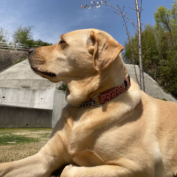 8fdc00ae 8774 4fe6 9654 e74c47608adb 1775456610093