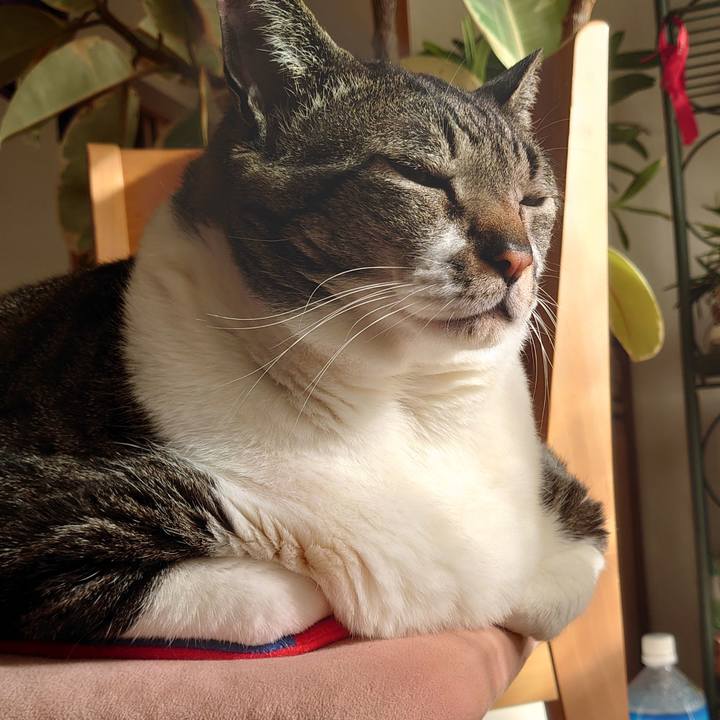 8fdc3cac fa5c 4f45 9e61 0c94061d23de 1586297663795