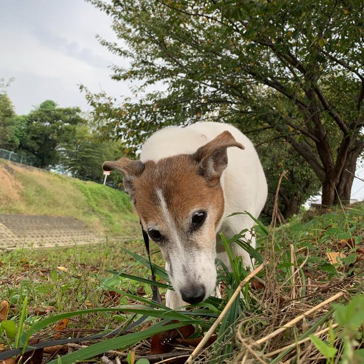 8fdc496d b1a7 4dec 9d56 2d758569b3dc 1600904129486