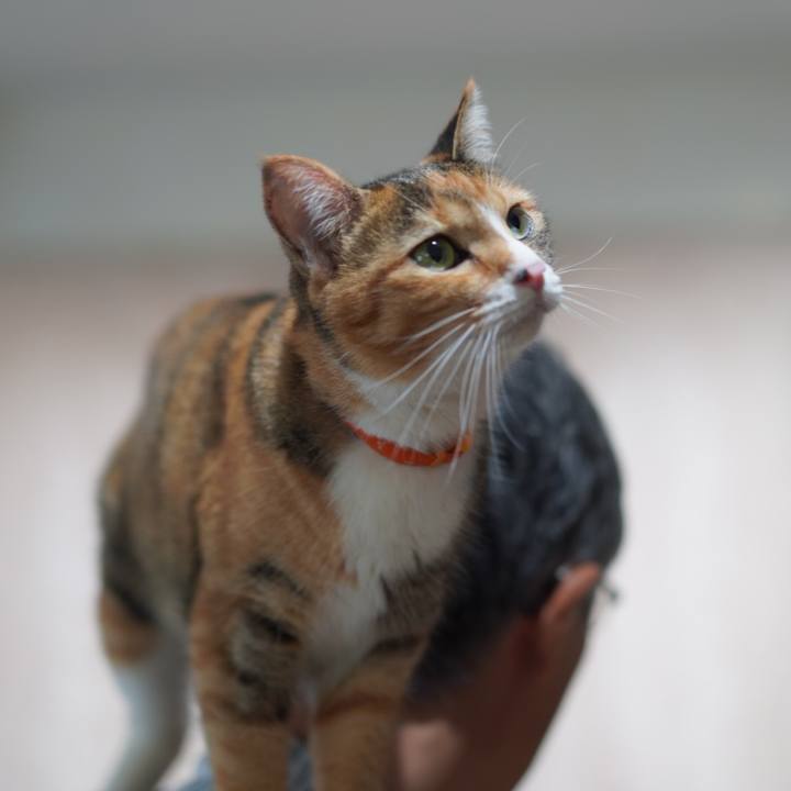 8fdc5a5d 1478 4110 bedb a025fa64e993 1627131019326