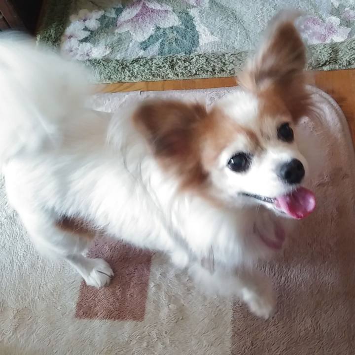 8fdc71f7 38ee 4ac0 8cf4 cc79fed0b1d3 1541825185536