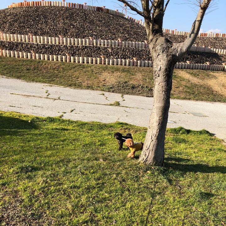 8fdc9be3 ab18 4682 9e7a 8c2a6ca0fd2d 1581471759219