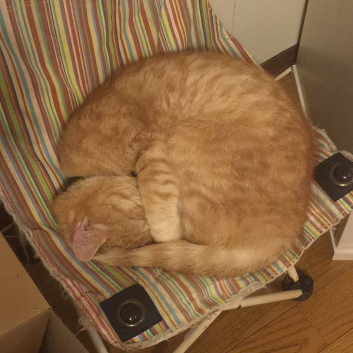 8fdcaca5 0790 4150 ad22 6c45334d9167 1561806181446