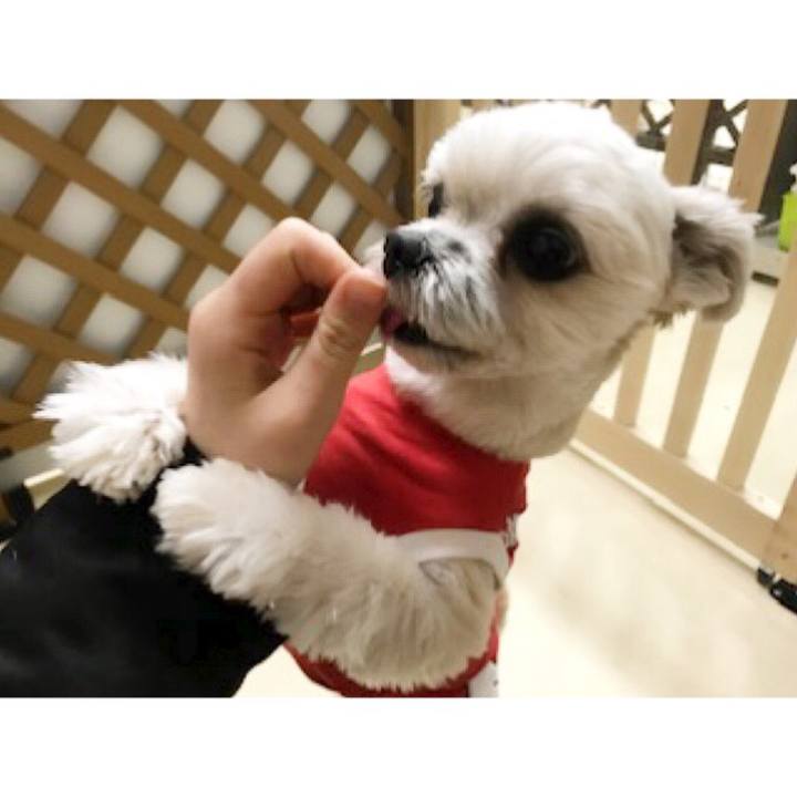 8fdcc711 43e9 4686 8c3d 6233607d95ee 1550140008985