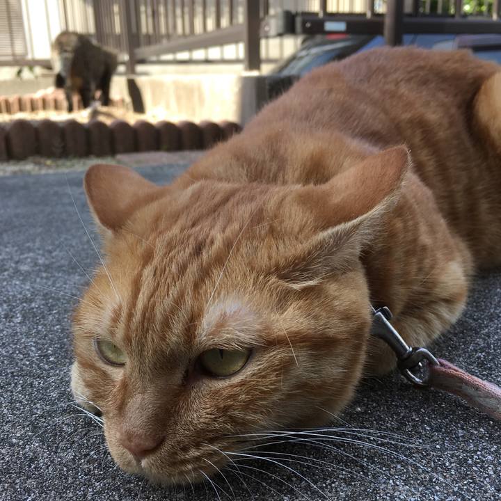 8fdcfef3 2ddd 41aa b12b 6d0a719d2049 1534635231937