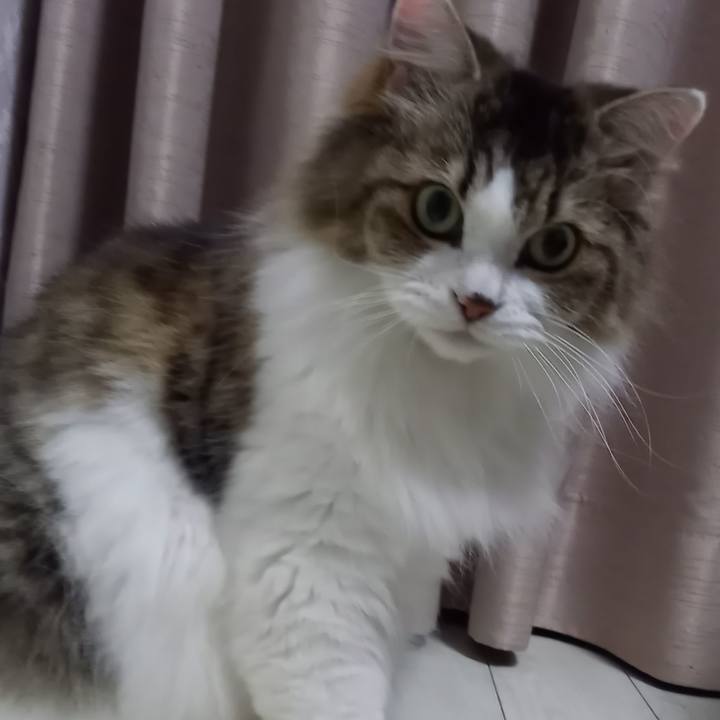 8fdd0ff0 4d0f 4fde aab9 0f8262a37aec 1693776382465