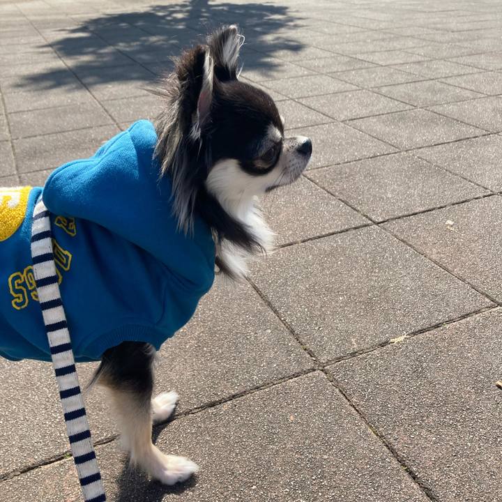 8fdd1c86 81c1 4e54 8e4e 1f17c75f196a 1613192052658