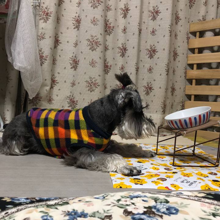 8fdd1d8a 47c6 40aa 84c4 a2e6da3b390f 1616146566934