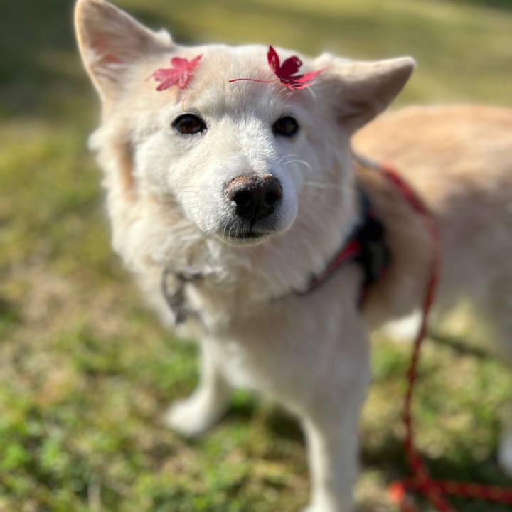 8fdd3ba8 4b86 475a bd66 b8ae31a9c366 1733059616676