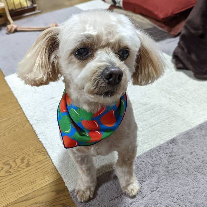 8fdd9fa3 fd57 4ac2 88b8 b554f3d88e69 1645870459665