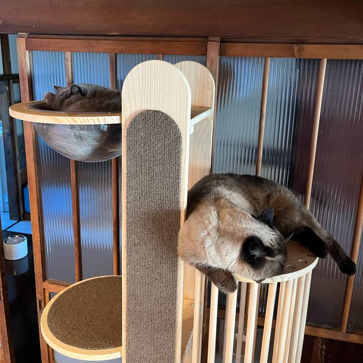 8fdda75e e176 4032 8956 8fd3aab3e822 1736859396015