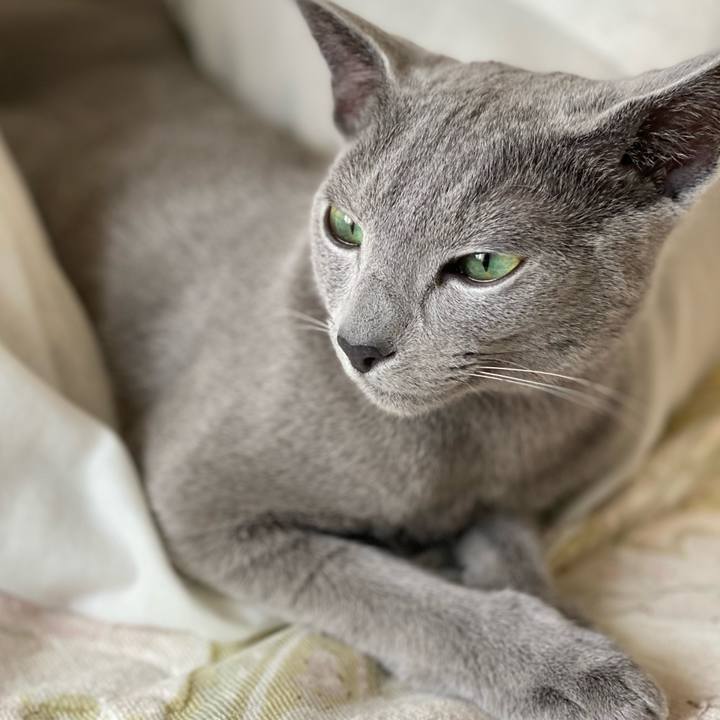 8fddcd5d 6c3b 45dd 991f b1227856ce4c 1620101125315