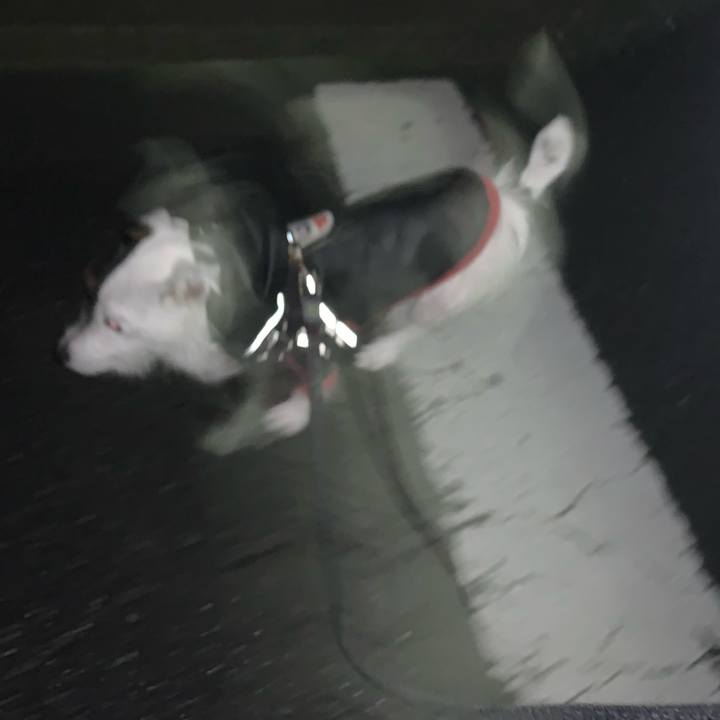 8fdde70f 9316 4c23 a36c 57b635e247e7 1650804009958