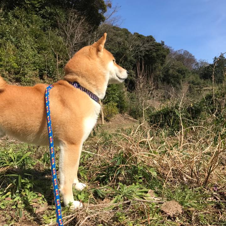 8fde23a1 5fa1 49df b73a 0570f6907e7c 1550467228384