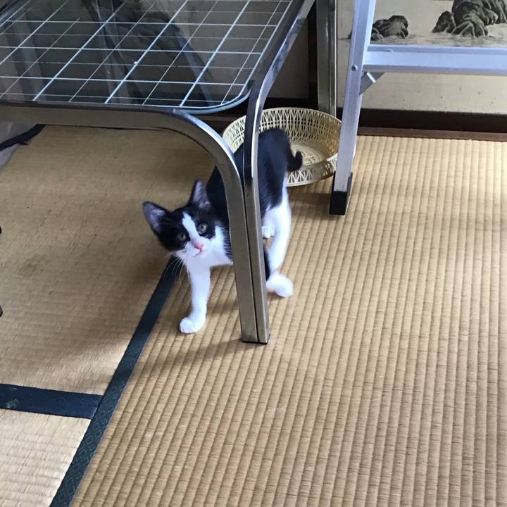 8fde6038 9072 4d36 8cd3 ff775a5a78ec 1625623796837