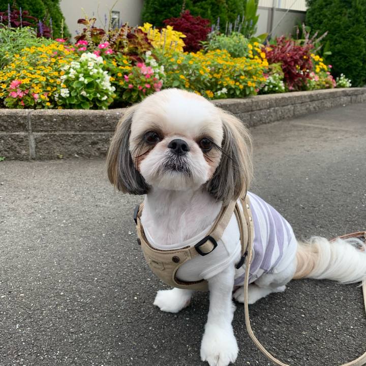 8fde79ab e8ac 41d9 88ce e59ac3f36337 1631343447579