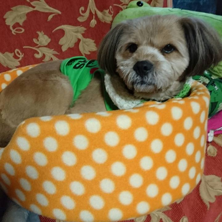 8fde92df 5a5b 42ac 84c8 48dfc1908eda 1514154212316