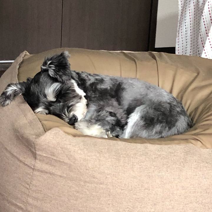 8fdeab29 4be8 4b62 9182 0fdeec383b13 1731730607632