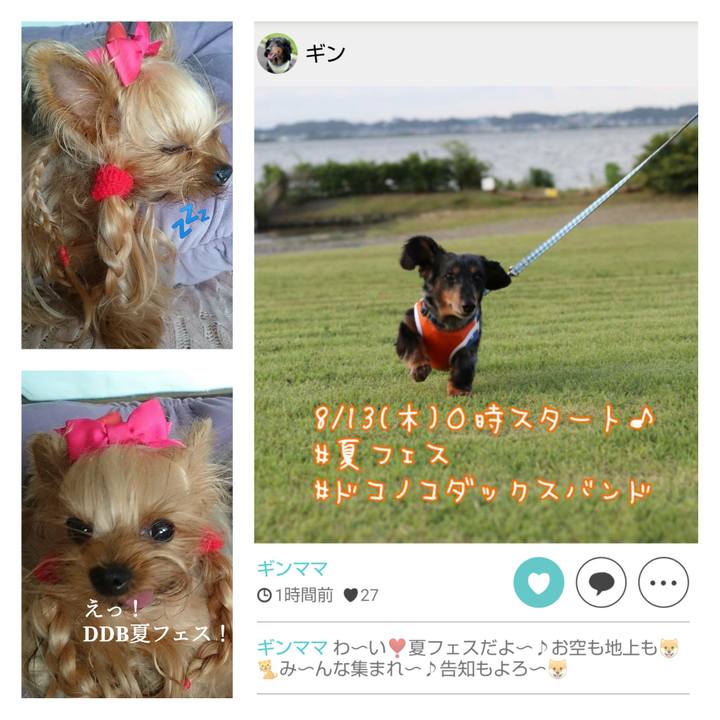 8fdee0f9 0837 4721 87a5 41a3d906a45b 1596804127400