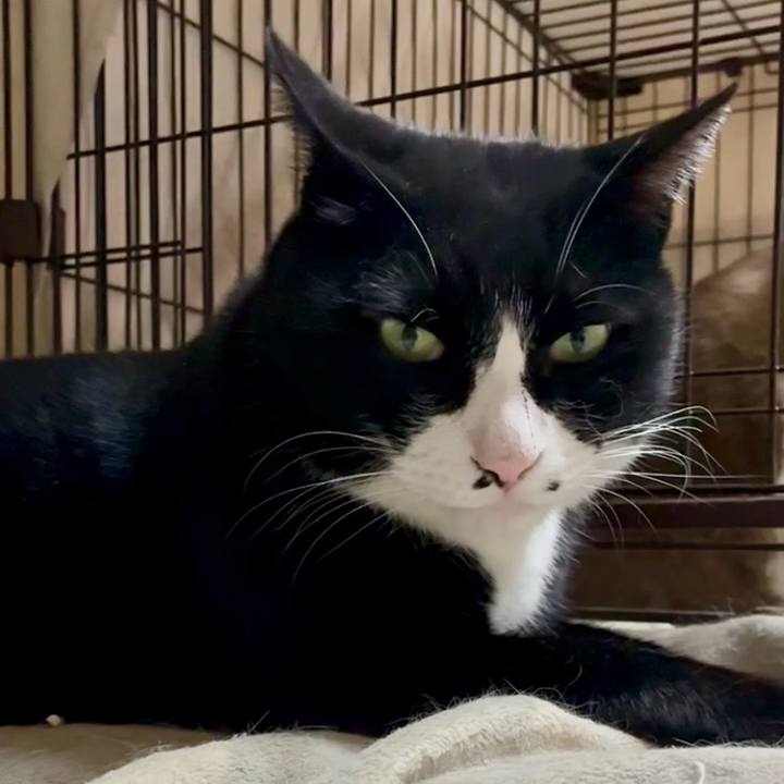 8fdee65a 5a0a 4895 9542 c3e58a2132a4 1768572411097