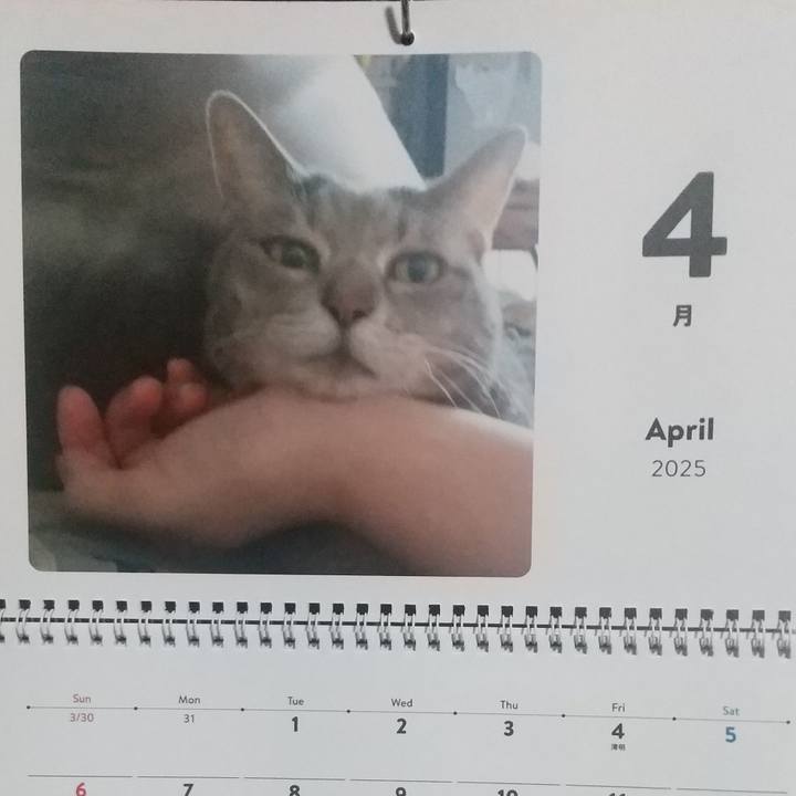 8fdf0079 36ca 4729 bc96 fa3bdcae6160 1743459168056