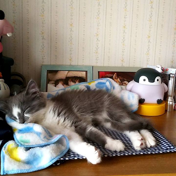 8fdf3f3e ebaf 4577 8499 063c24833bc5 1562913905040