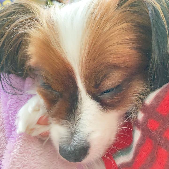 8fdf5c86 2732 4c50 b060 743b08ab7eb9 1635819883799