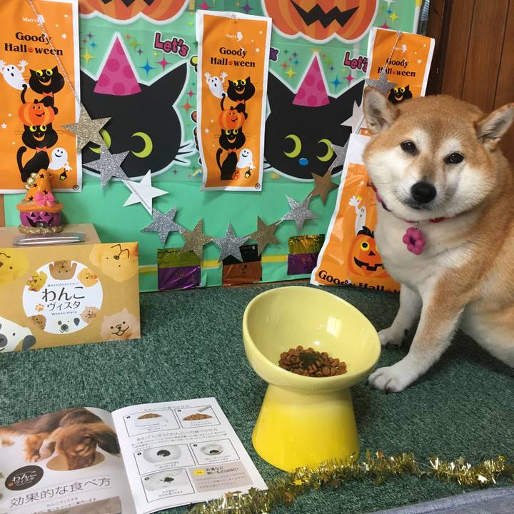 8fdf74f0 0e7e 4f3b b6f6 1f9b3aa435e9 1633411786025