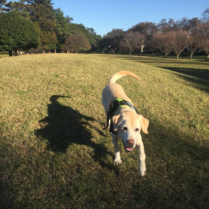 8fdfa3cb a770 472a 94a1 c8ad1ae79df1 1573559173163