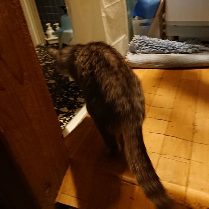 8fdfa426 0a5a 44a3 b024 f8d93db94012 1571735978452