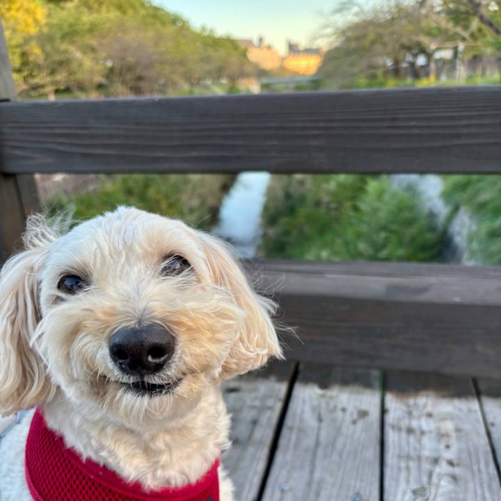 8fdfd801 53d5 47df b28a 41966f782790 1761788437692