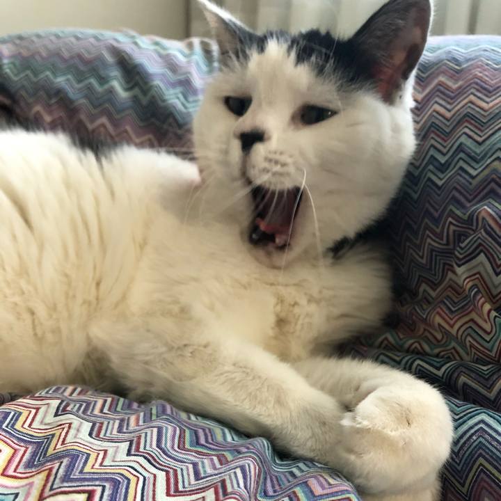 8fdfeb6d 6fd3 40bd 8cb3 0e917e580b94 1547681948363