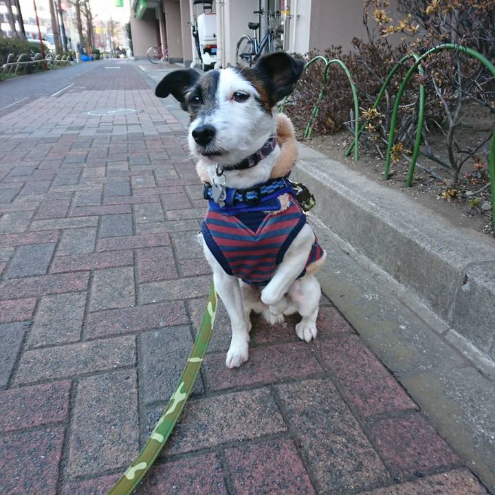 8fdff6f2 046f 4c2c 83a6 ed60c5bc539f 1515709308082