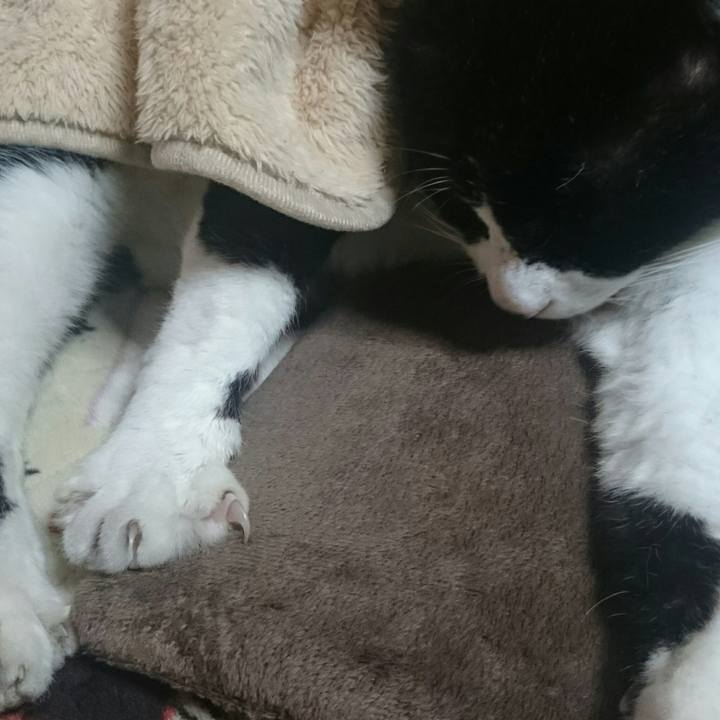 8fe007c3 d8aa 4f06 8e67 c929365c7a38 1517874862339