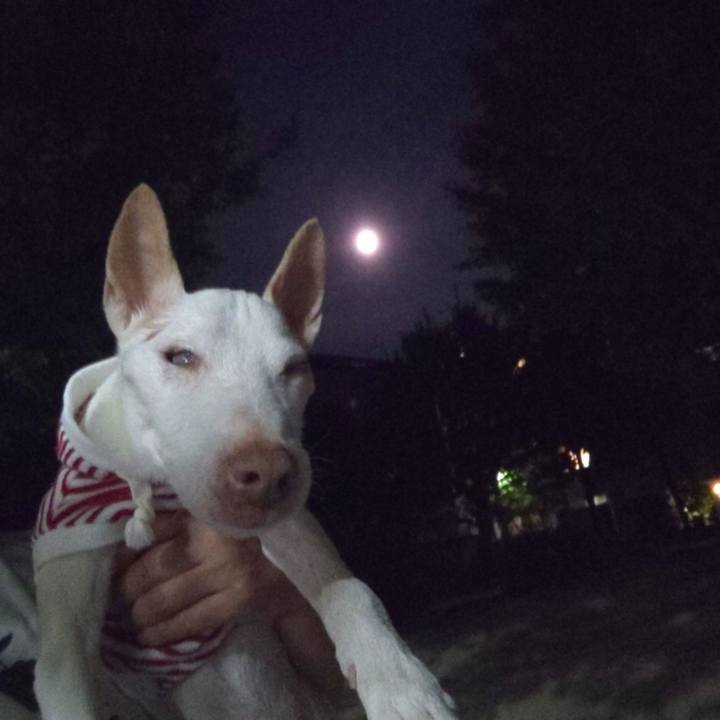 8fe02243 373a 41d3 a132 f6720f84d2ad 1601375458681