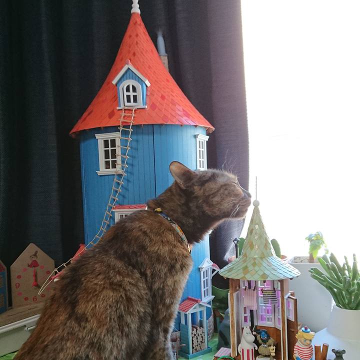 8fe032ab 16b0 43f9 ac26 a1774806d89b 1589116638249