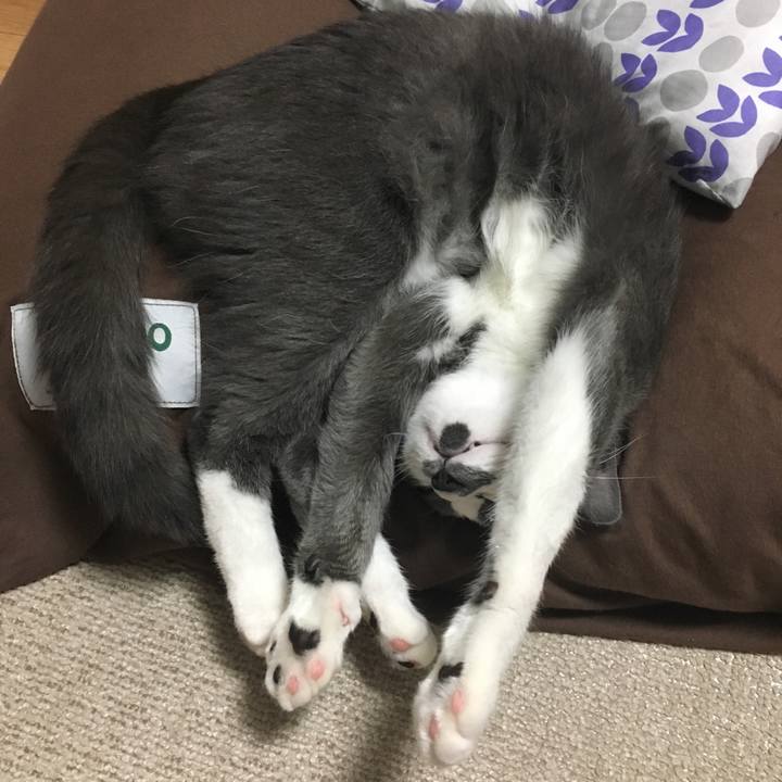 8fe0695b d9b7 4452 99ac e1475f9eef33 1519598940848