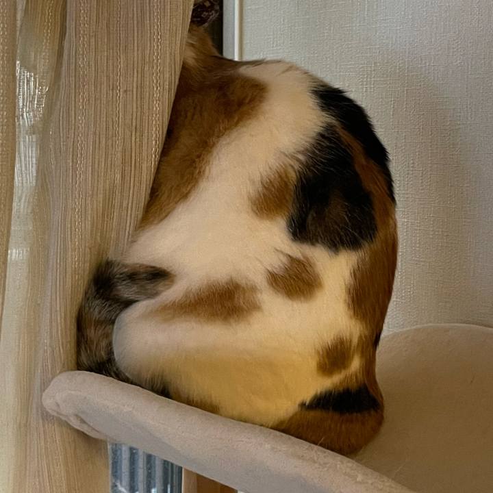 8fe08209 c8fa 44e9 a477 c0942af49064 1763508819828