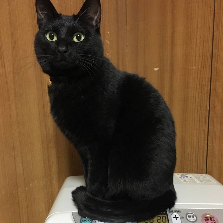 8fe0ac1b a80b 466a 90cc 3d860dbbc9b4 1515929697039