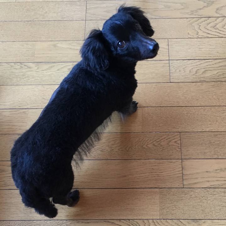 8fe0b528 b900 4100 a943 b5501f43d7a0 1519432370779