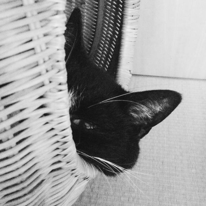 8fe0cd74 e286 4eec aec6 52b0dd19b68f 1569509223735