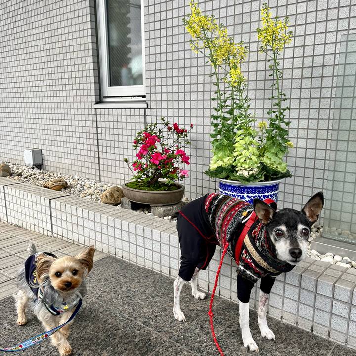 8fe0e9df 0105 4268 8094 d5c795b6b801 1650069528242