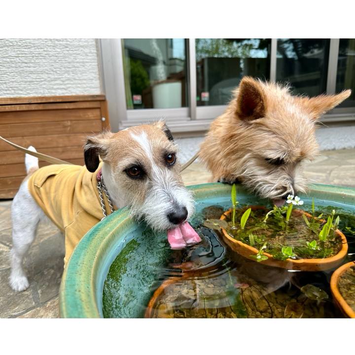 8fe11a81 e03f 4b8e 83e0 5f11ff727702 1713621625669