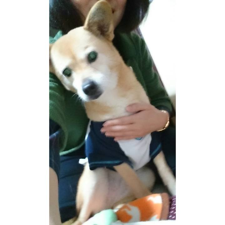 8fe124f3 e20e 4c3f 8213 24bce494f201 1521260270965