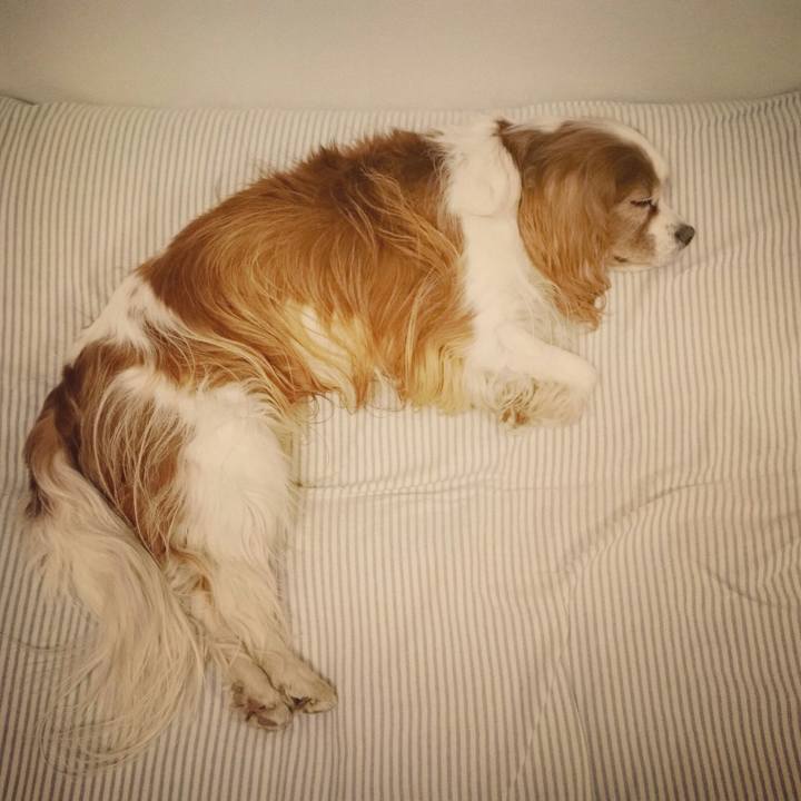 8fe12894 c38e 4ec3 a4f7 29eb0c83dc69 1521889056304