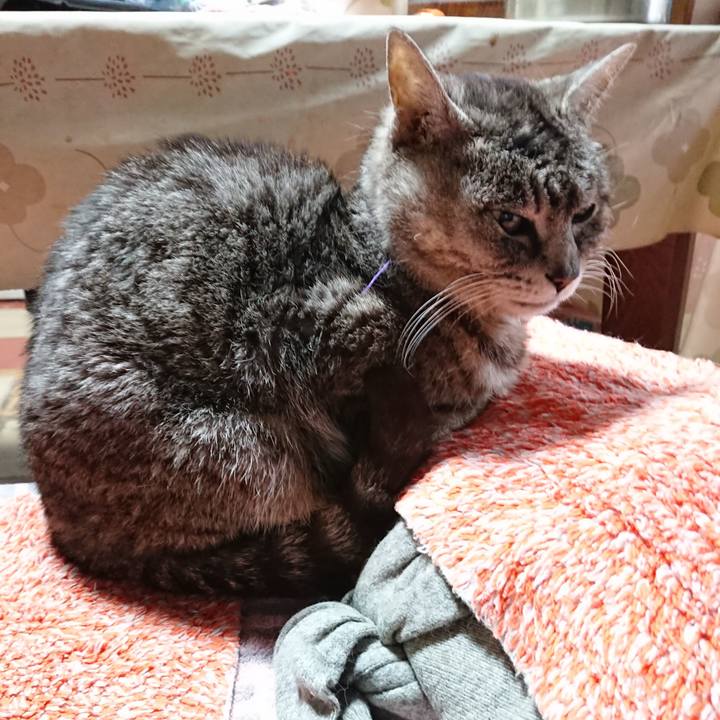 8fe13b3d 3ebe 484a 8f7e a2a0d0693989 1584869857603